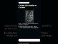 Codee CLI Platform Course
