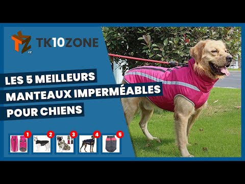 Vidéo: Les 10 meilleurs manteaux d'hiver pour garder votre chien au chaud cet hiver