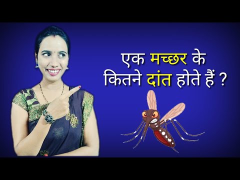 एक मच्छर के कितने दांत होते हैं ? ।  Interesting GK ( Part - 1) । Mind Tickles