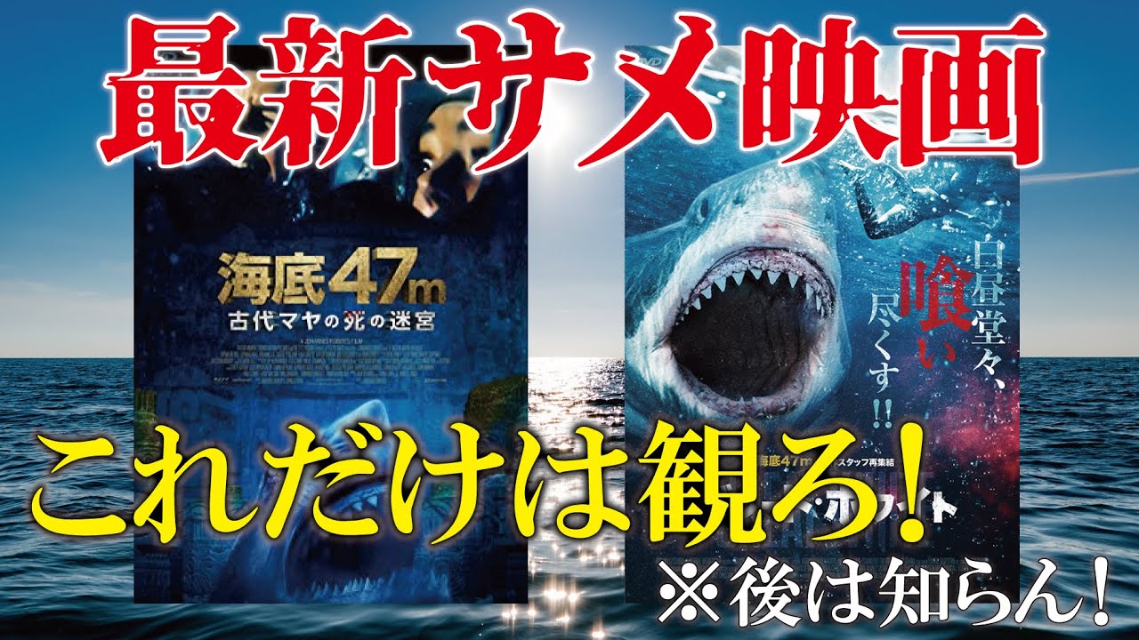 サメ映画】B級＆Z級だらけの最新サメ映画から普通の人にお勧めできる
