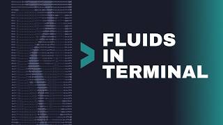 Famous Fluid Simulation in Terminal (C++ Project) Net Worth