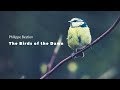 Capture de la vidéo Philippe Bestion  - The Birds Of The Dawn