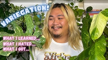 ALL ABOUT VaRiEgAtiOn!