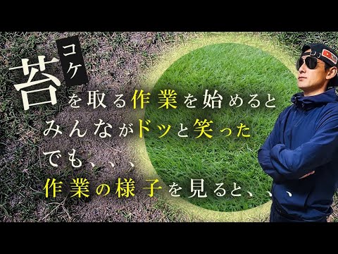 【芝生】苔でお悩みの方へ【取り方】教えます！コケ対策3選！