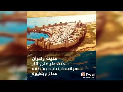 العرب هم أول من سكن شمال إفريقيا وهم أصل الفينيقيين