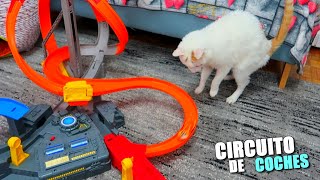 El Circuito De Coches