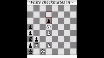 CHECKMATE IN 7 MOVES