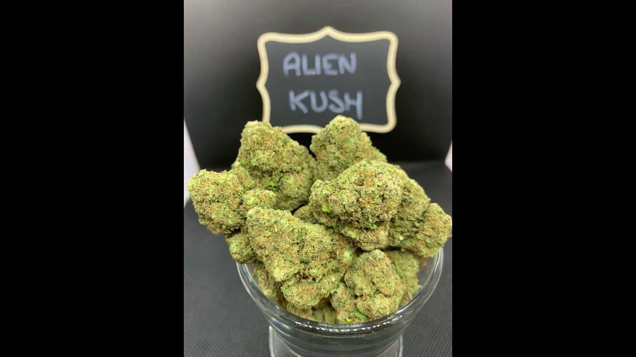 CBD EVASION  - LES FLEURS CBD