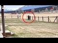 10 Bizarre Unsolved Mysteries That Can Not Be Explained