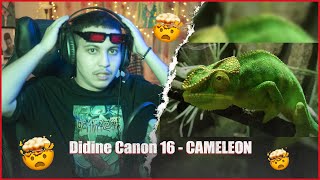 Didine Canon 16 - CAMELEON (Reaction)