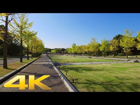 Walking around Showa Kinen Park, Tokyo Part1 - Long Take【東京・昭和記念公園】 4K