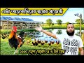 ১০০০ দেশি মুরগি ও কৈ মাছের খামার। আমার নতুন প্রজেক্ট #fish #fishing #koi #farming