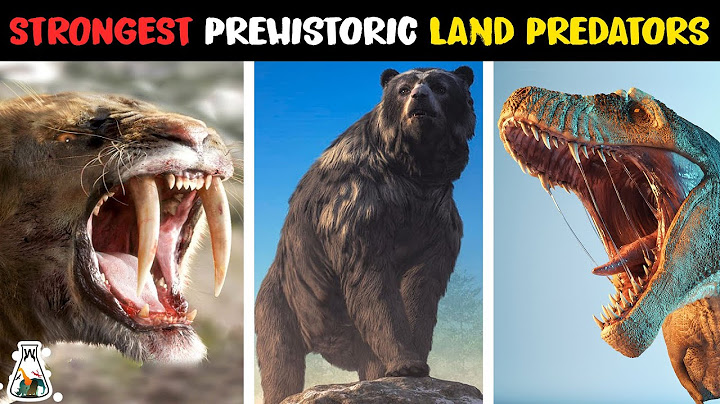 Top ten most powerful land animals that are extinct