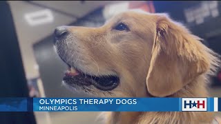 Olympic Therapy Dogs | Houston Happens