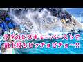シャチの尾ビレパワー炸裂!!悲鳴と歓声でパニック寸前! 鴨川シーワールド シャチショー KamogawaSeaWorld orca killerwhale