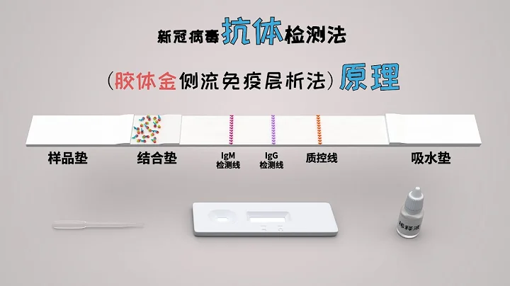 新冠病毒抗体检测(胶体金法)原理 - 天天要闻