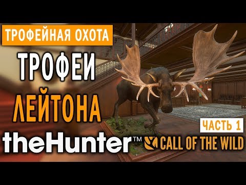 Видео: theHunter Call of the Wild #1 🔫 - Трофеи Лейтона (Часть 1) - Поместье Спринг-Крик