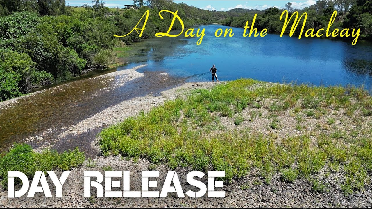 Day Release - A Day on the Macleay - DRZ 400E