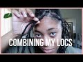 Combine My Locs With Me! | Journey to Thicker Locs