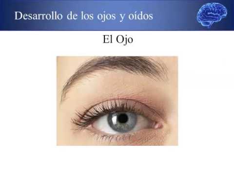 Equilibrio de ojos y oídos