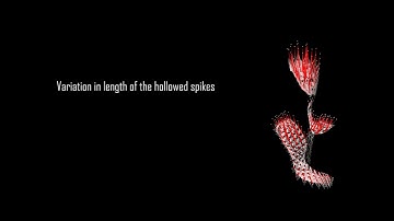 MARC6102 S1 2019 - Assignment 2 - Henrik Pregler & Anna Osipova