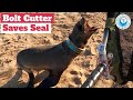 Bolt Cutter Needed To Save Seal!
