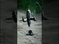 R7 Portable AI Interceptor – Lightweight 420km/h, speed Less than 5 seconds response.