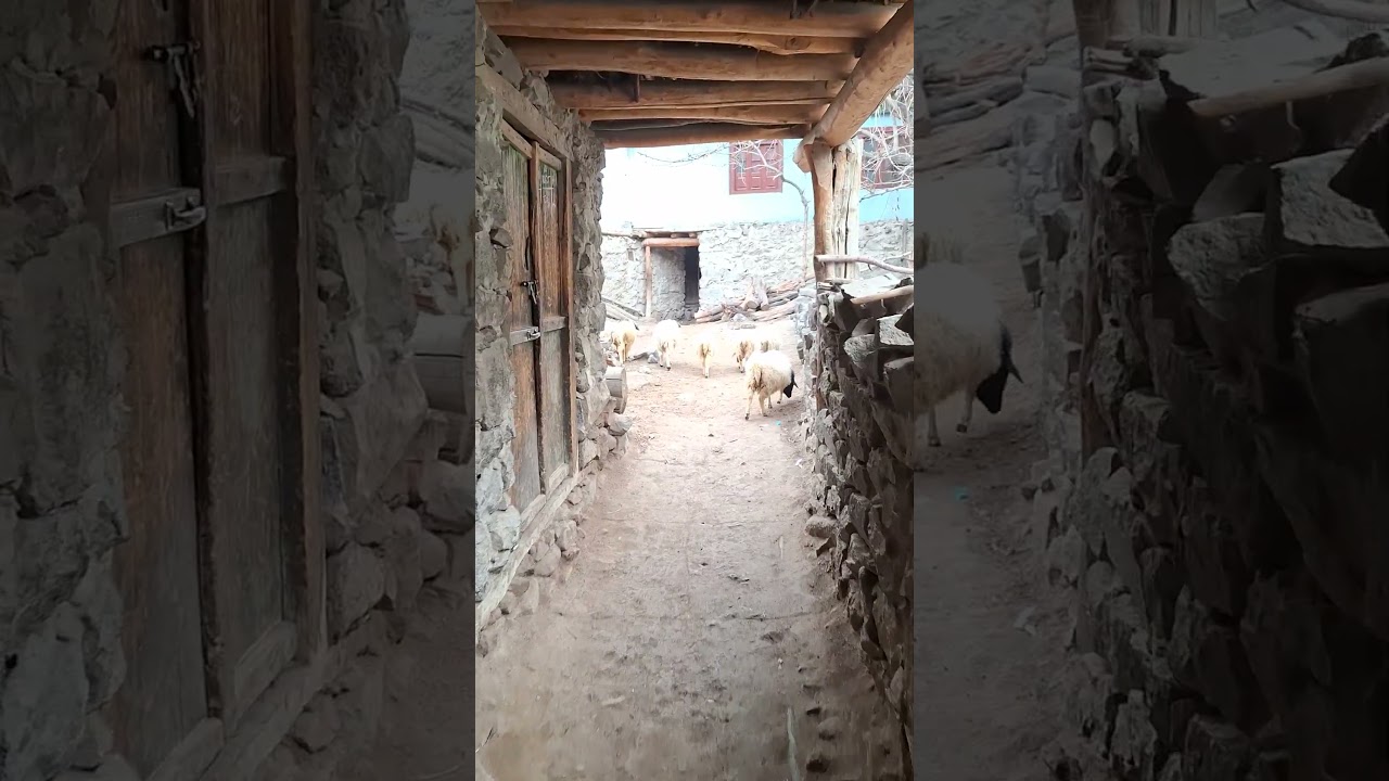 street in village made of wooden logs
