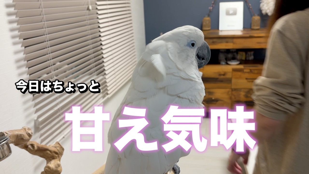 温泉帰りの夜、ゆきまる氏が少し甘え気味