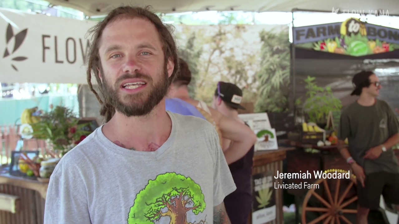 Northern Nights 2019 "Farm to Bong" Recap