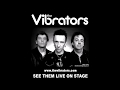 Capture de la vidéo The Vibrators Live @ The White Hart