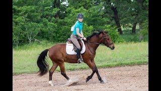 Horse Show // Series #4 - April 2019!