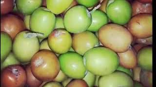 (17) فائدة صحية قيمة ومهمة في أكل النبق ثمرة شجرة السدر