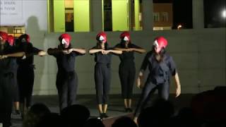 Delta Sigma Theta Omicron Phi Spring 2017
