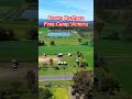 🏕️ Brown Brothers RV Free Camp ~ Victoria #freecamp #explorevictoria #winerycamping