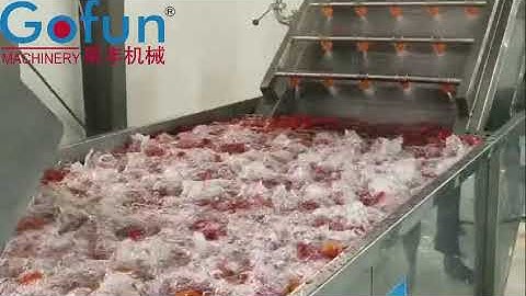 1 Ton Per Hour Vegetable Processing Line Tomato Paste Making Machine Customized Voltage