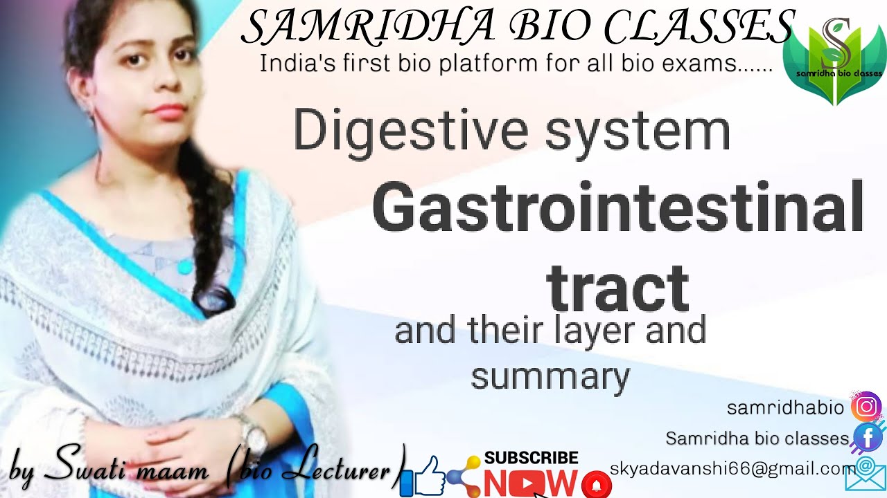 Human physiology//Digestive system: gastrointestinal tract and their layer by Swati maam