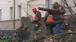 Працівники СКП «Харківзеленбуд» показали, як доглядають за деревами, що понівечили російські снаряди