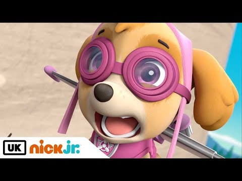 Paw Patrol | Pups Save An Eagle | Nick Jr. UK