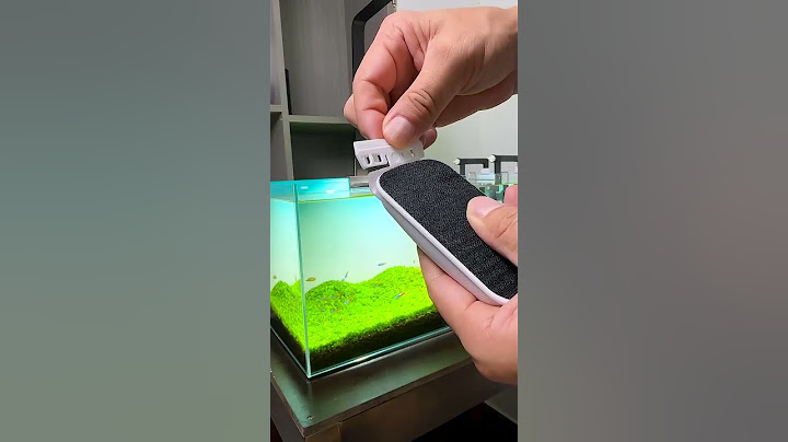 Unbranded Magnetic Fish Tank Cleaner#trending #fishbowl #aquaristic #fishtank #aqurian #fishaquarium