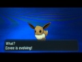 Eevee Evolution (Vaporeon): Pokemon X and Y