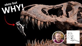 🔴How did birds survive the dino-extinction? Interview with paleontologist, Albert Chen!