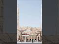 Surah Al-Ankabot سورة العنكبوت 🕷 Beautiful Quran Recitation #quranrecitation