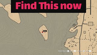 Powerful item, on an Island almost outside the map - RDR2