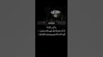 سورة الأحقاف|١٣ـ١٤|ياسر الدوسري 🥺🎧