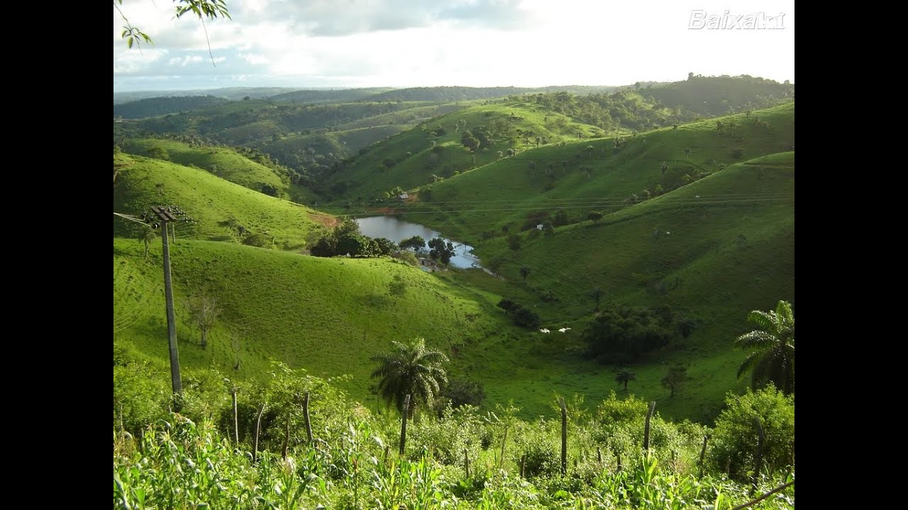 Quantas Cidades Tem No Brejo Paraibano?