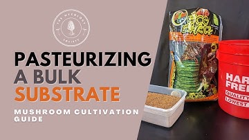 Easy Bucket Tek Method Revealed | Mushroom Cultivation Guide