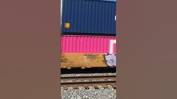 CSX 1982 Seaboard System Heritage Unit on CSX I007 | July 29, 2023 | Calcutta, Indiana