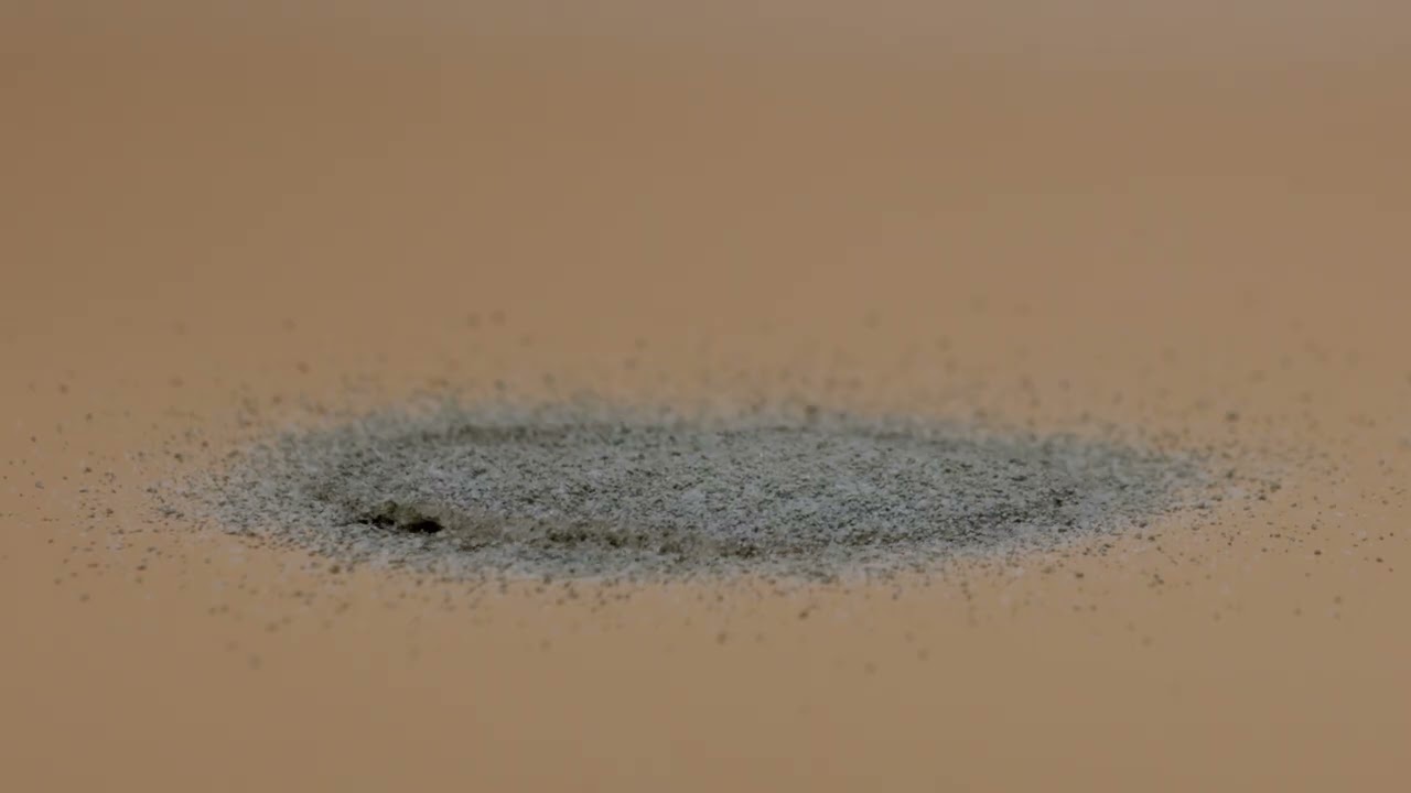 Toutou Propre - Démonstration