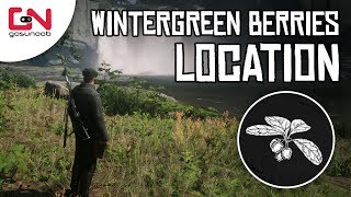 Red Dead Online - Wintergreen Berries Location - 5 Wintergreen Berries Picked - Daily Challenge